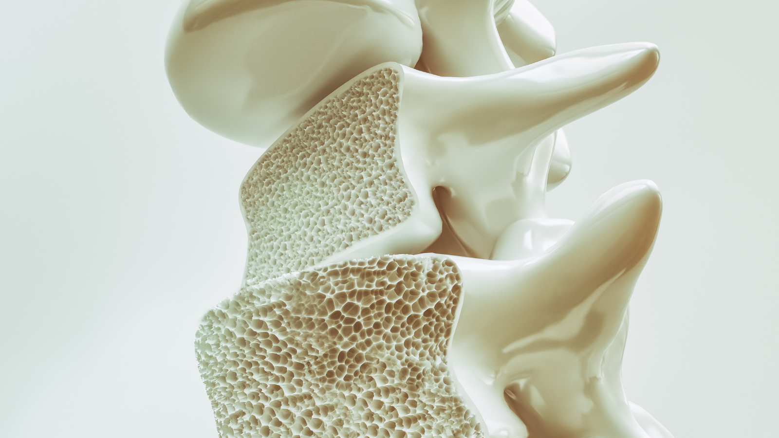 A_Základní fakta o osteoporóze